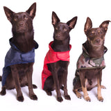 Amiplay Bristol raincoat - Camo