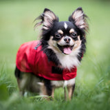 Amiplay Bristol - raincoat Red