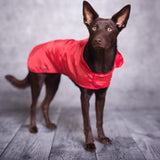 Amiplay Bristol - raincoat Red