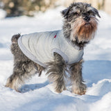 Amiplay Denver jacket - Grey