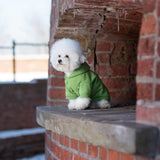 Amiplay Texas hoodie - Green