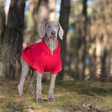 Amiplay Texas hoodie - Red