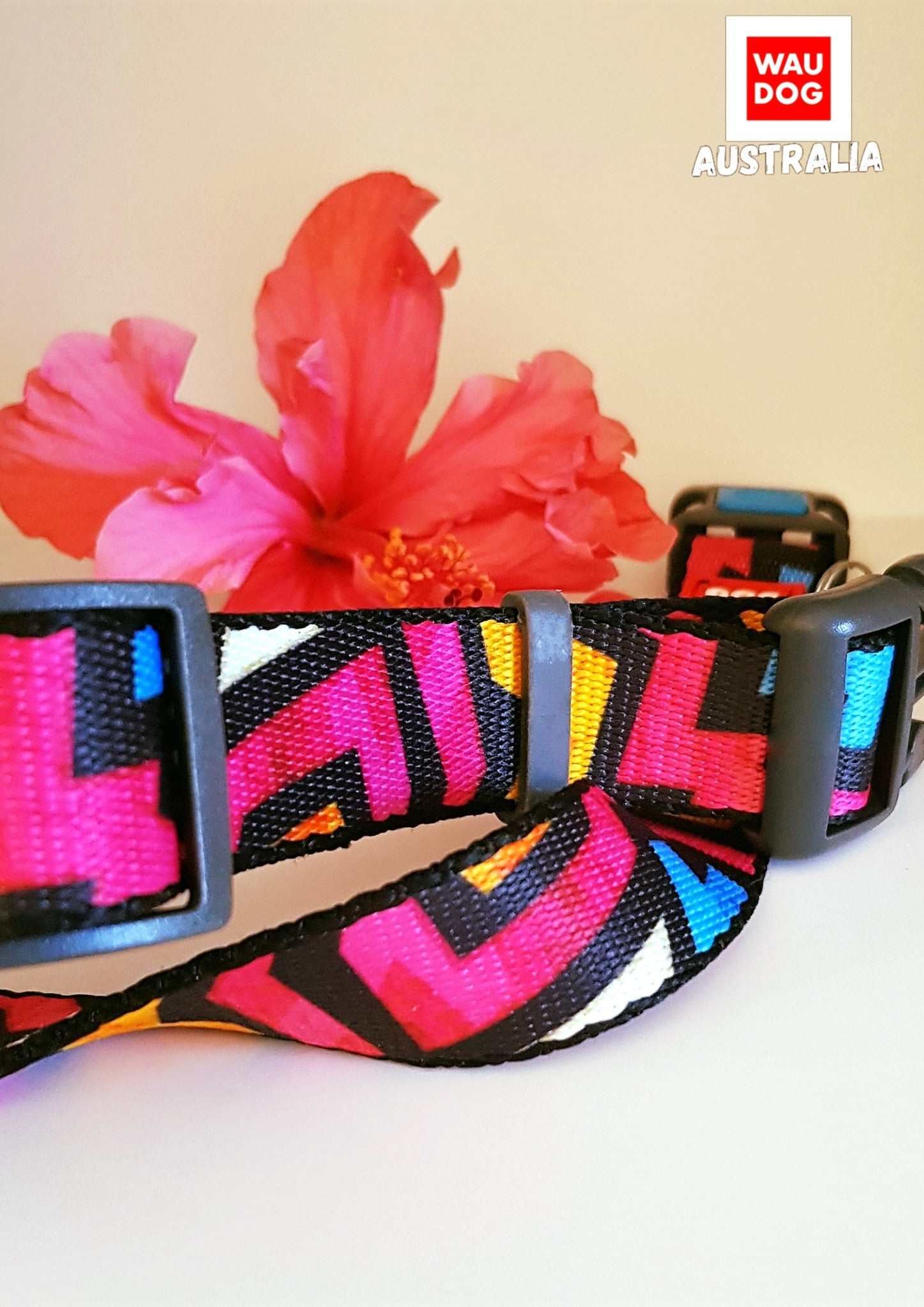 Graffiti Nylon Leash