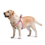 Waudog Wonder Woman Harness