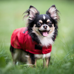 Amiplay Bristol - raincoat Red