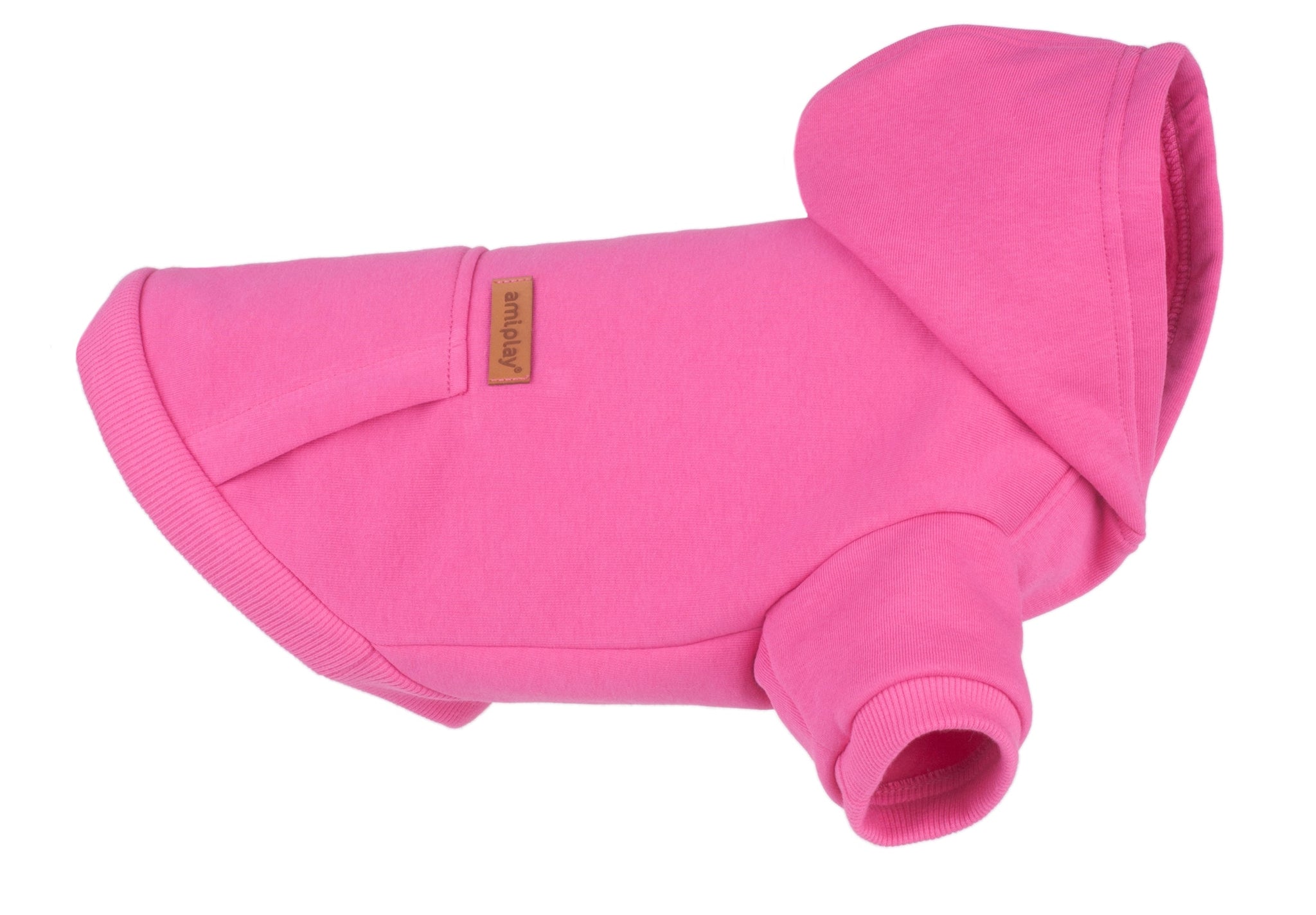Pink Hoodie - Texas